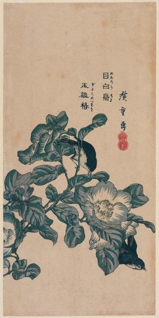 Japanese White-eye and Jade-woman Camellia (Mejirôcho, gyokume tsubaki), from the series Six Flowers and Birds (Rokkachô)