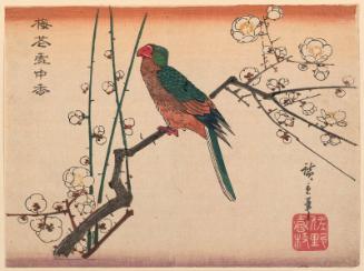 Macaw on Plum Branch