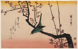 Warbler on Red Plum Branch