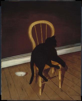 Black Cat on a Chair