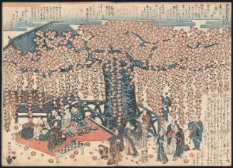 Cherry-blossom Viewing Party at Juhô-ji Temple on Mount Zeshin, Slightly to the North of the East Gate of Shitennô-ji (Shitennô-ji tômon yori sukoshi kita Zeshin-zan Juhô-ji)