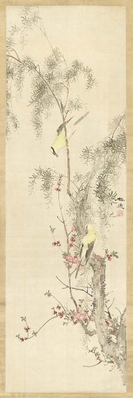 Willow and Orioles