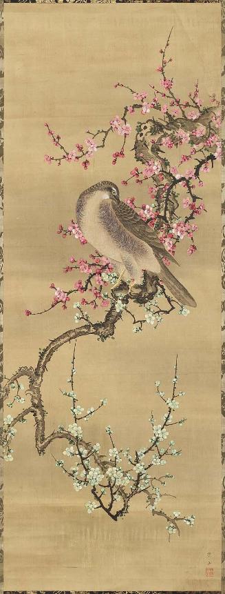 Hawk and Plum Blossoms