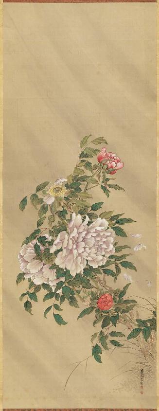 Peony in Storm