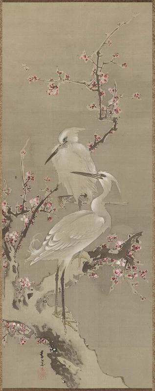 Egrets on Plum Tree