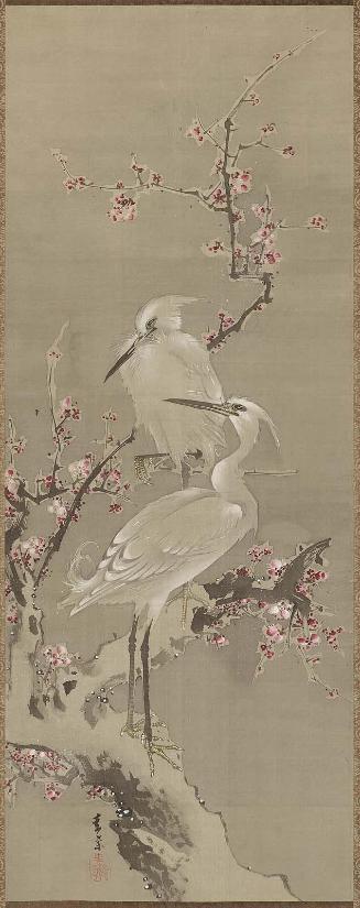 Egrets on Plum Tree