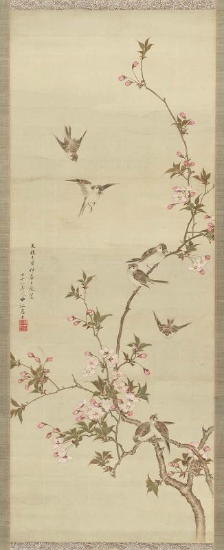 Sparrows and Cherry
