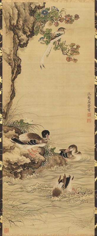 Ducks