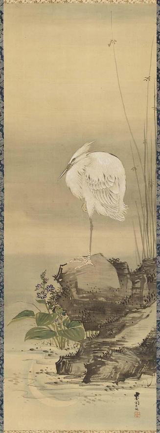 Egret