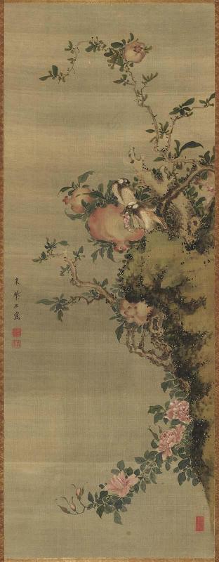 White-Cheeked Starlings and Pomegranates