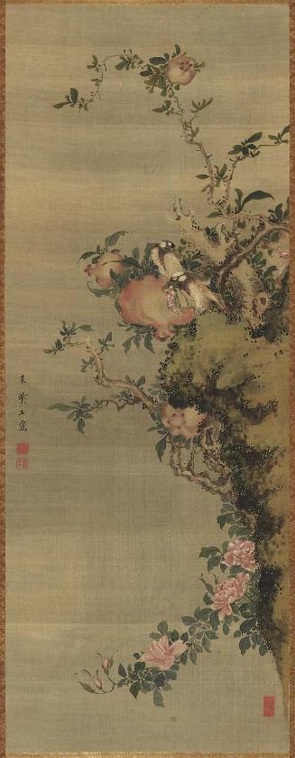 White-Cheeked Starlings and Pomegranates