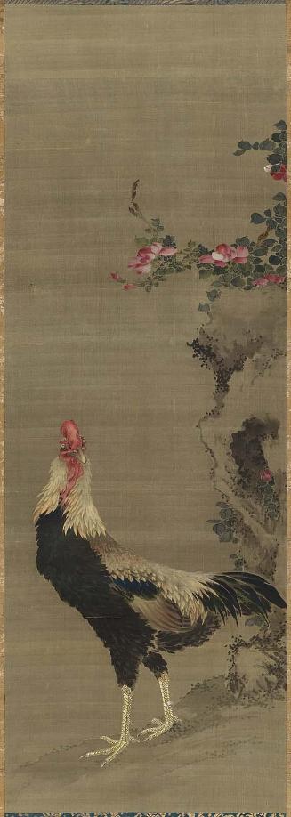 Rooster