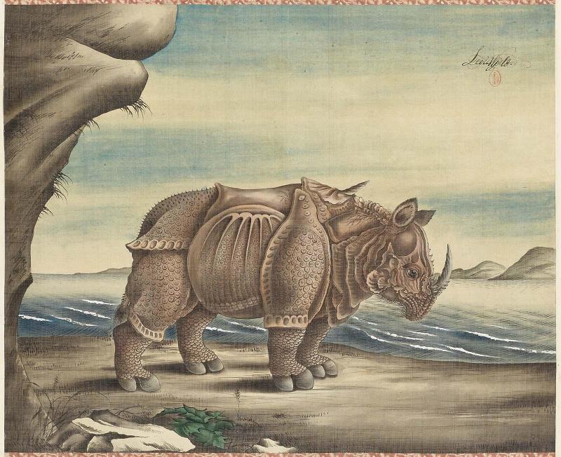 Rhinoceros