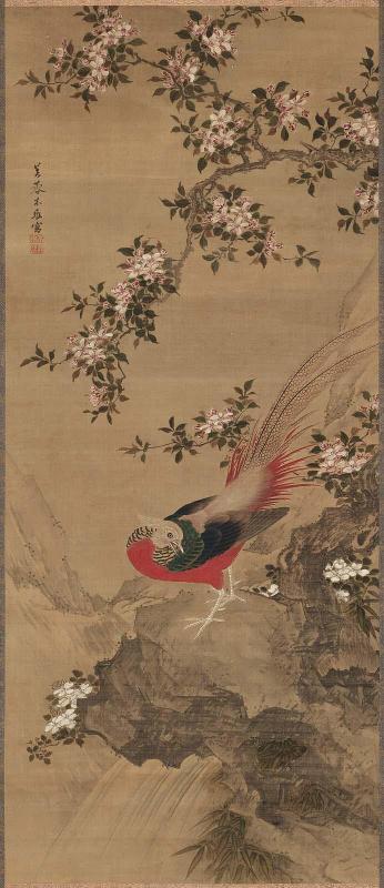 Pheasant and Cherry Blossoms