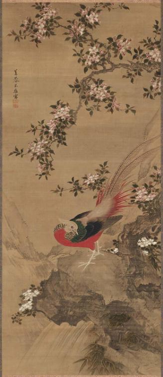 Pheasant and Cherry Blossoms