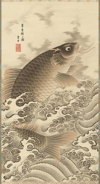 Carp
