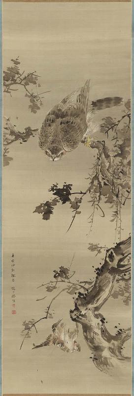 Hawk and Sparrows