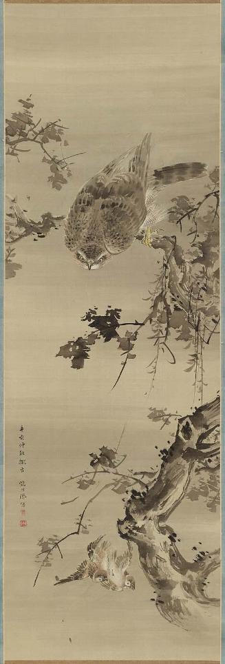 Hawk and Sparrows