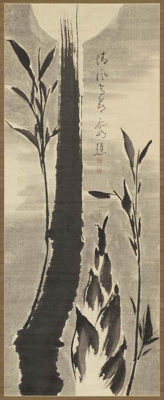 Bamboo