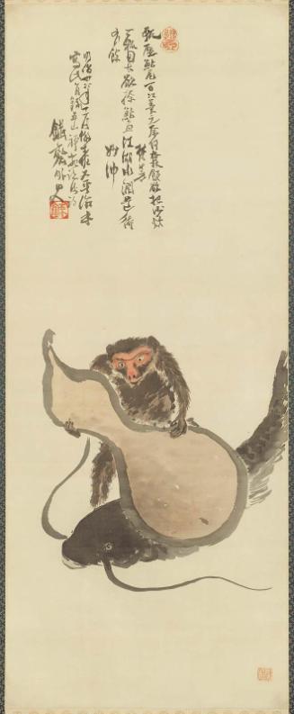 Monkey Overcoming a Catfish