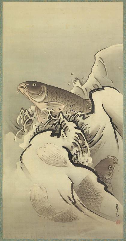 Carp