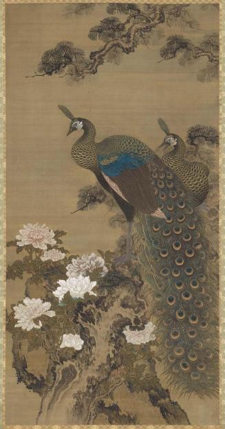 Peafowl and Peonies