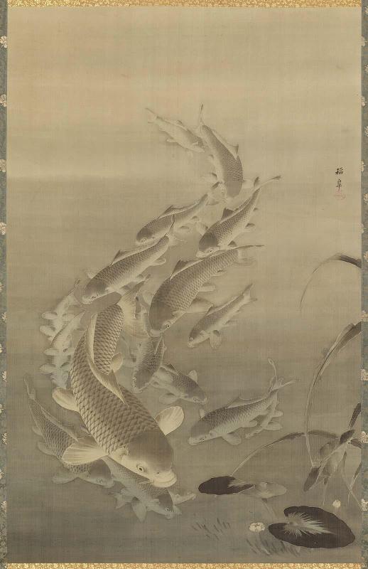 Carp