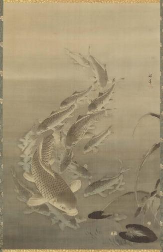 Carp