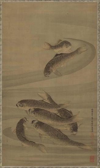 Carp