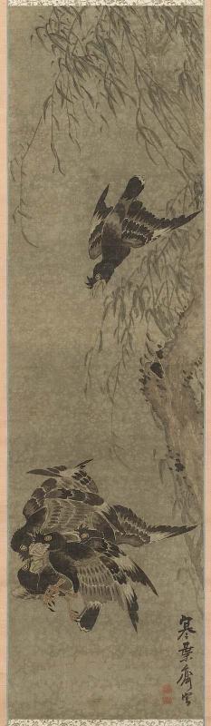 Mynah Birds Fighting