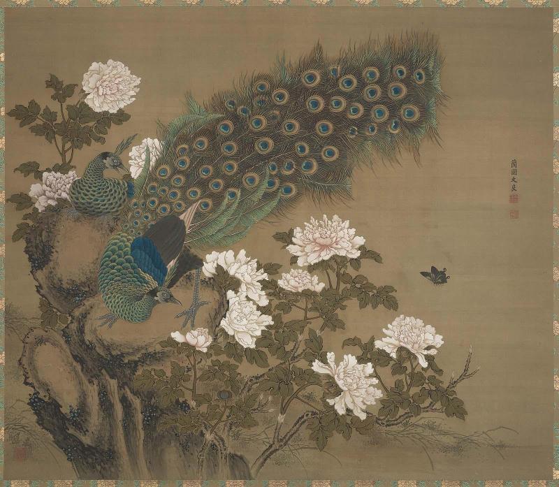 Peafowl and Peonies