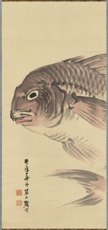 Sea Bream