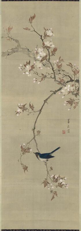 Cherry Blossoms and Blue-and-White Flycatcher