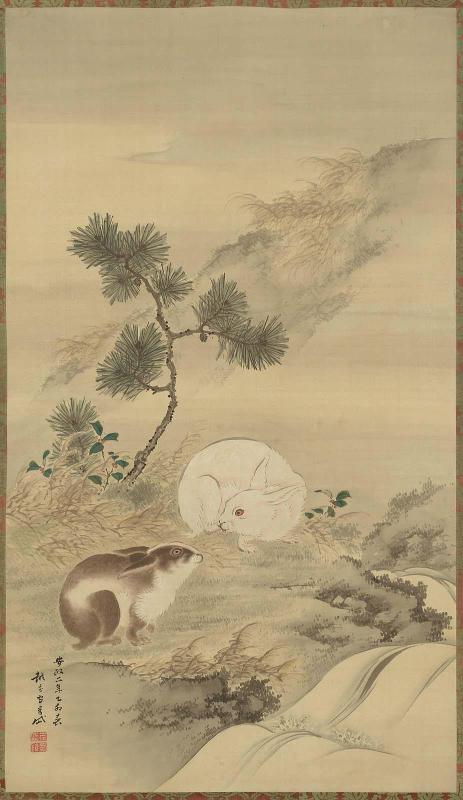 Rabbits and Pine