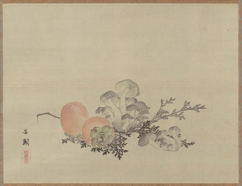 Persimmons and Toadstools