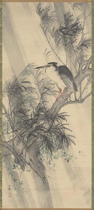 Black-Crowned Night Heron on Willow
