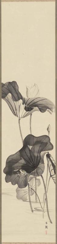 Lotus With Small Frog