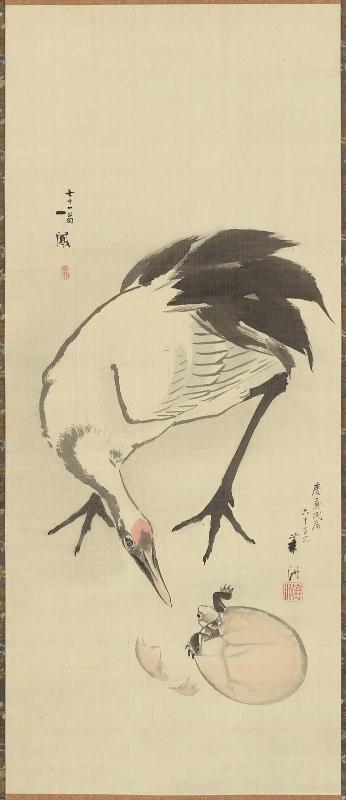 Crane and Turtle