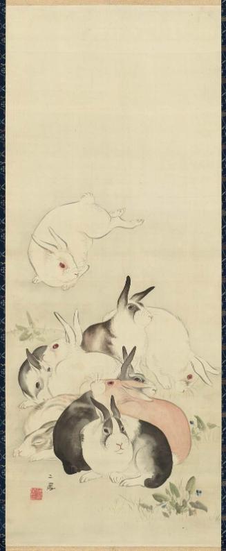 Rabbits