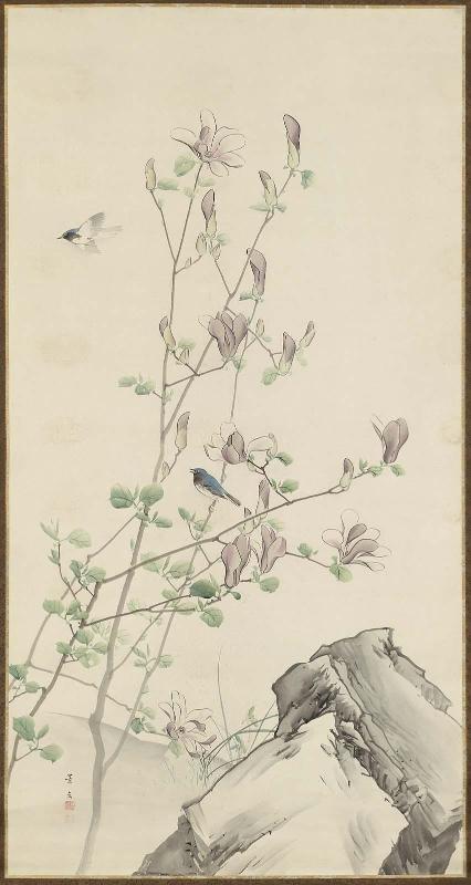 Magnolia and Blue-and-White Flycatchers