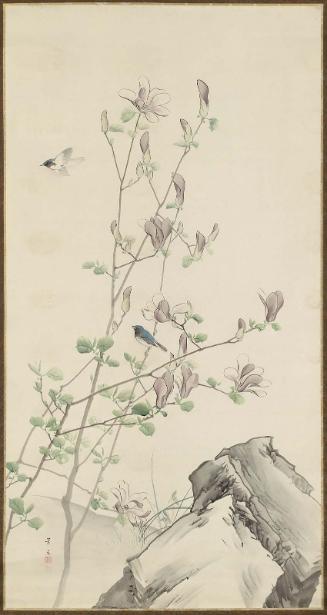 Magnolia and Blue-and-White Flycatchers