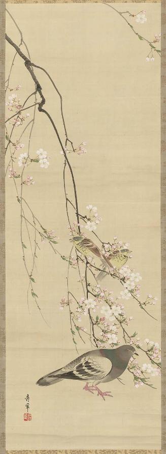 Pigeon, Sparrows, and Cherry Tree