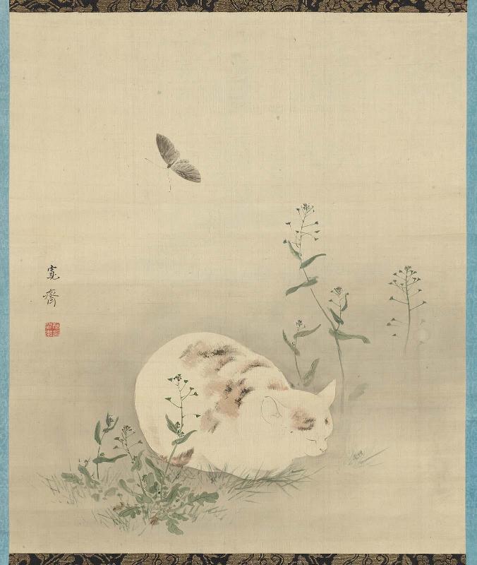 Cat and Butterfly