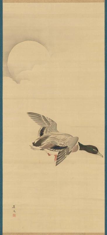 Duck Flying in Moonlight