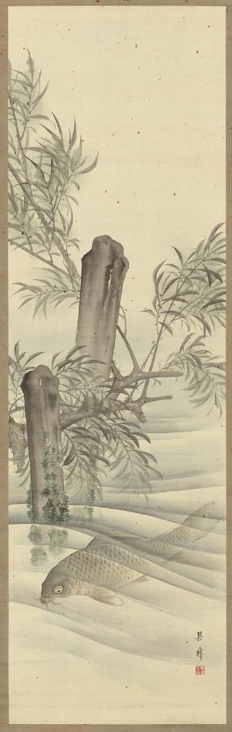 Carp,  Willow Branches, and Stumps