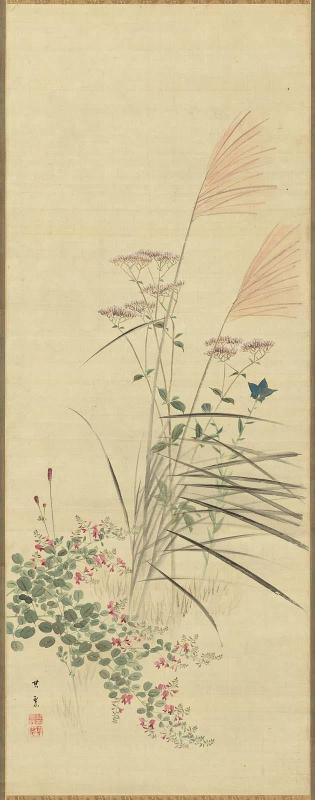 Autumn Grasses