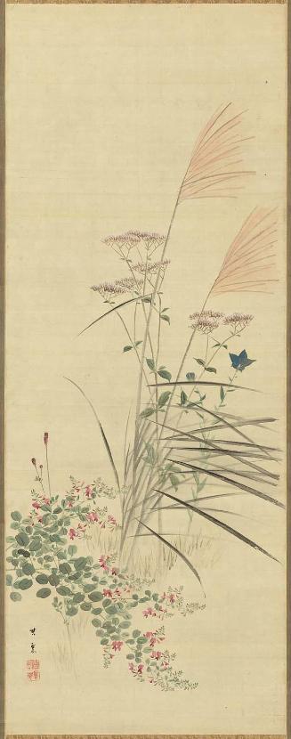 Autumn Grasses