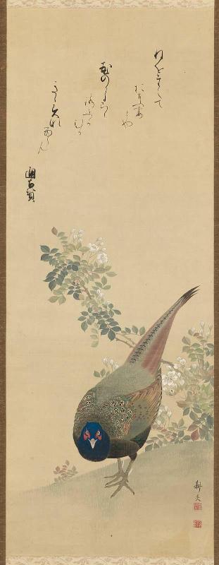 Pheasant with Rose