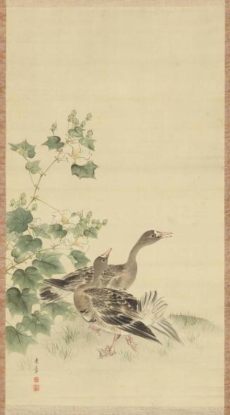 Geese and Rose Mallow