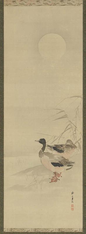 Ducks in the Moonlight